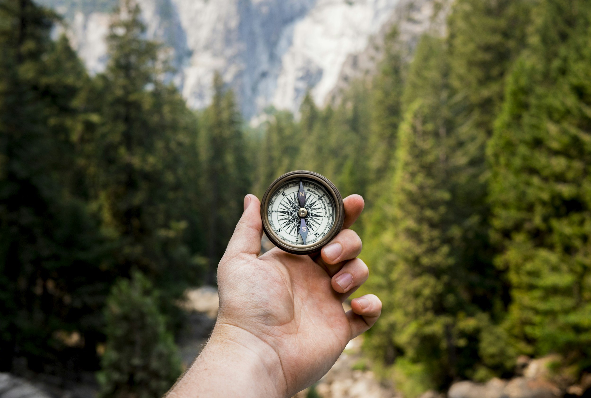 Navigate Your Business Growth